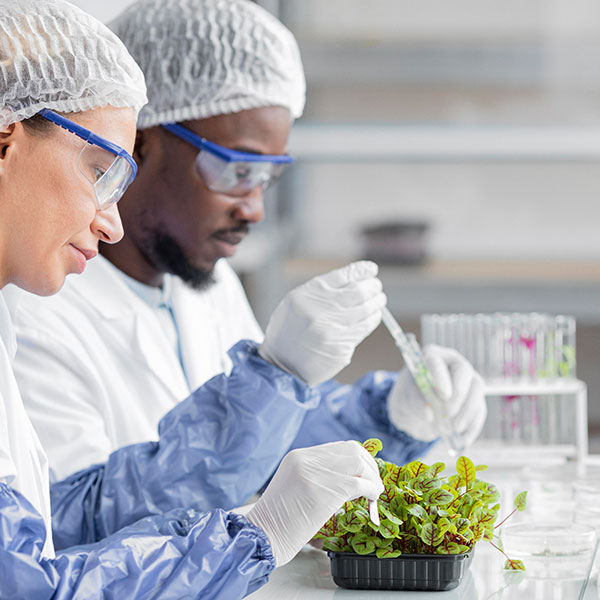 Active Pharmaceutical Ingredients